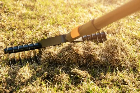 Vertikutierer auf Rasen